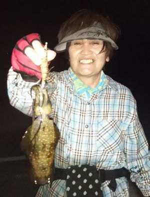 ♪♪　胴長４０センチ近いケンサキをオカッパリで　♪♪