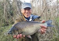 ♪♪　乗っ込みのヘラ釣り　　第2弾　♪♪ 2022/03/27 08:54:20