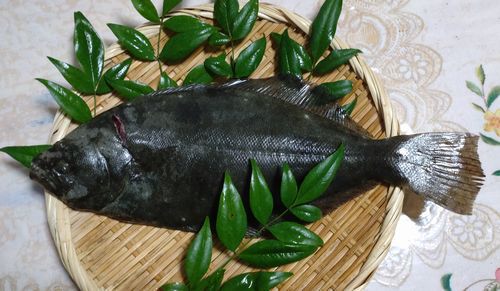 　♪♪　こんな　ありがたいｖ頂き物　♪♪