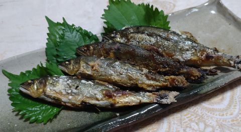 　♪♪　また　こんなありがたい頂き物　♪♪