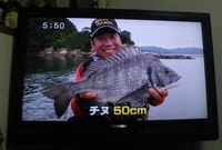 ♪♪  沖縄で大知　昭　さん　と言えばマルキューチヌ釣り大会を　・・・　♪♪ 2017/11/21 10:48:00