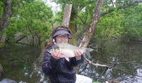 ♪♪  ヘラブナ釣り　第６弾　完結編　♪♪ 2018/05/10 22:24:55