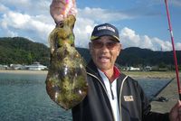 　♪♪　アオリ求めて夕方から出撃　♪♪ 2018/10/25 20:18:32