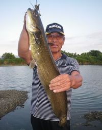 ♪♪　でかい＼(◎o◎)／　　ナマズ　ゲット　♪♪　　　　　　　　 2019/06/14 20:06:41