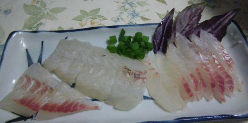 　♪♪　海上釣堀　第2弾   ♪♪