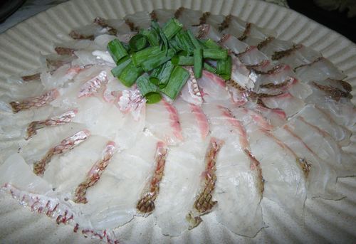 　♪♪　海上釣堀　第2弾   ♪♪