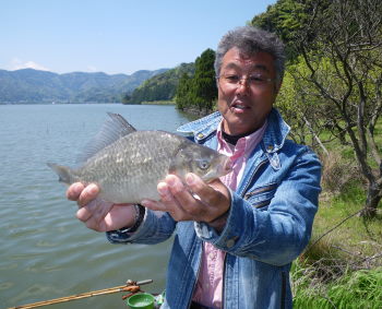 ♪♪　フナ釣り　第２弾　自己満足の世界　♪♪