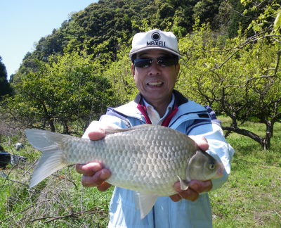 ♪♪　フナ釣り　第２弾　自己満足の世界　♪♪
