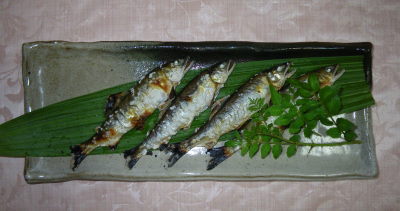 ♪♪♪　アユでアユを釣る　別の面白さが・・・・・・　♪♪♪