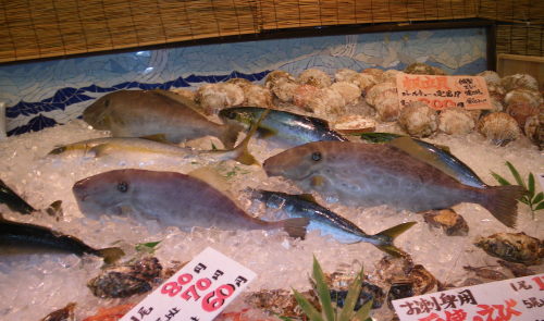 ＼(◎o◎)／　うわっ～～　美味そうやけど高～～～い　＼(◎o◎)／