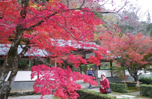 ♪♪　　第2弾　紅葉狩り　　♪♪