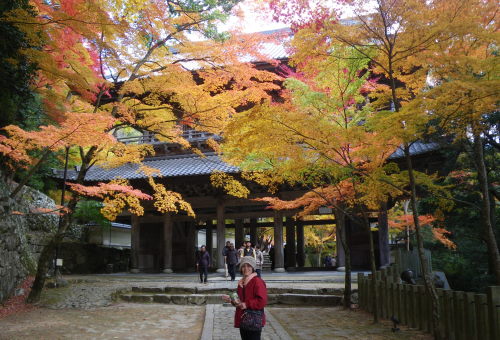 ♪♪　　第2弾　紅葉狩り　　♪♪