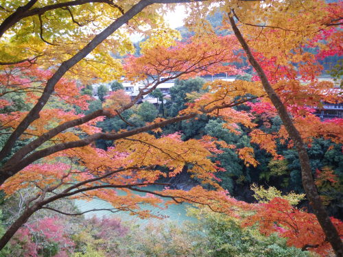 ♪♪　　第2弾　紅葉狩り　　♪♪