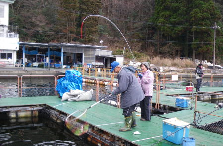 ♪♪　年末恒例の釣り堀でのタイ釣り大会　♪♪