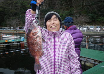 ♪♪　年末恒例の釣り堀でのタイ釣り大会　♪♪