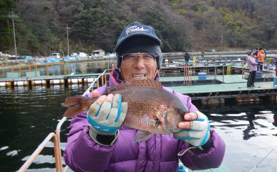 ♪♪　年末恒例の釣り堀でのタイ釣り大会　♪♪