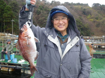 ♪♪　年末恒例の釣り堀でのタイ釣り大会　♪♪