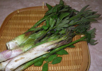 ♪♪　旬の食材をたらふく食す　♪♪　