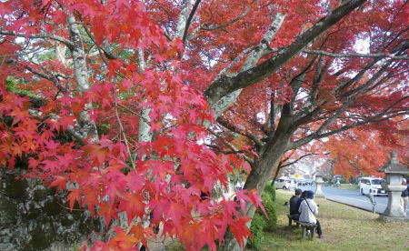 ♪♪　今　こちらは紅葉真っ盛り　♪♪