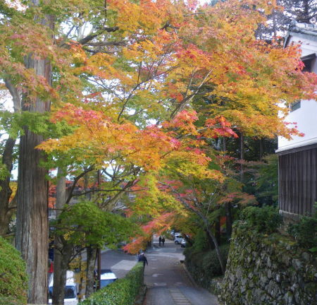 ♪♪　今　こちらは紅葉真っ盛り　♪♪