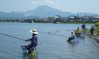 ♪♪　沖縄ではこんな光景は見られないでしょうね　♪♪ 2015/05/09 13:51:26