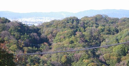 ♪♪　高～～～～～い　・　長～～～～～い　♪♪