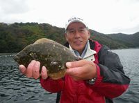 ♪♪　チヌ釣りの撒き餌代　ええっ～こんな安かった？　♪♪ 2015/12/22 12:18:53