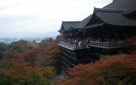 ♪♪　京都に今年最後の紅葉を求めて　♪♪