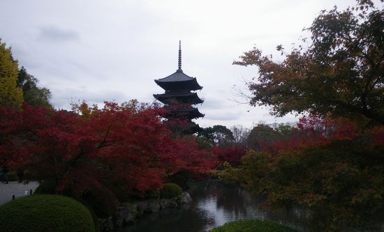 ♪♪　京都に今年最後の紅葉を求めて　♪♪