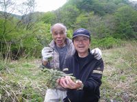 ♪♪  採る楽しみ　食べる楽しみ　♪♪ 2016/05/06 10:24:09