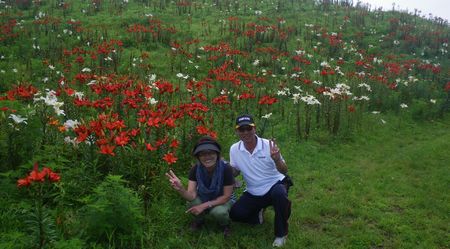♪♪ 　250万輪の　ゆり　の花に癒されてきました　♪♪