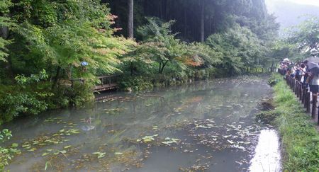 ♪♪  名もなき池ってどんな池　♪♪