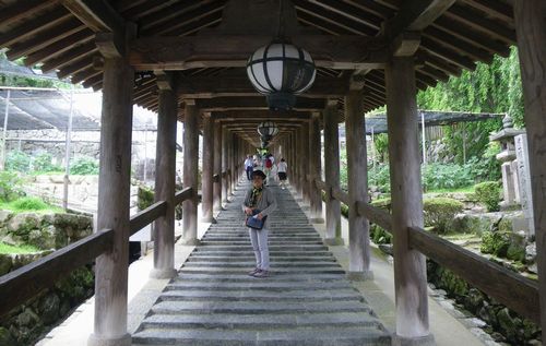 ♪♪  雨に咲く花　♪♪