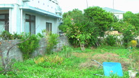 週末大工日記1 2010/08/06 16:05:01