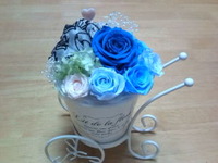 ♪♪かわいい♪♪ 2012/05/23 11:00:00
