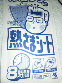 熱がぁ〜 2010/04/13 19:54:14