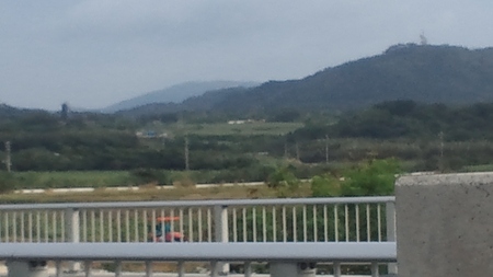 今日の八重山～いこいの家から～:石垣市・平田原の水田