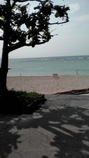 海でランチ 2010/05/13 15:34:15