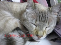 梅雨明けて