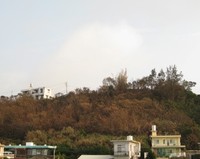 台風後