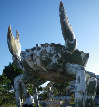 ♪♪　奥武山公園と漫湖公園を歩く　♪♪
