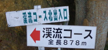 ♪♪　第２弾　県民の森をひたすら歩く　♪♪