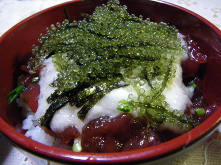 ♪♪　最近　魚が釣れないからとっと魚屋さんで　♪♪