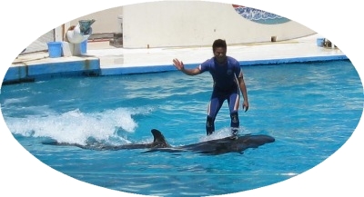 ♪♪　やっぱ沖縄の観光地では中ら海は最高　♪♪