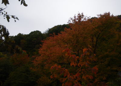 ♪♪♪　この景色は　沖縄では見られないでしょう　♪♪♪