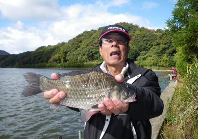 ♪♪　海釣りもいいけど　ヘラ釣りも又楽し　♪♪