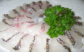 ♪♪♪　釣って持ち帰ったタイのその後・・・・・・・・　♪♪♪