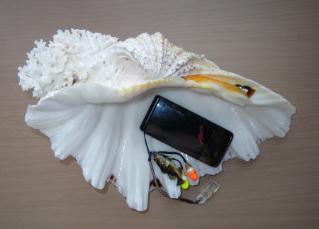♪♪　西表島からのお土産は、私の宝物　♪♪