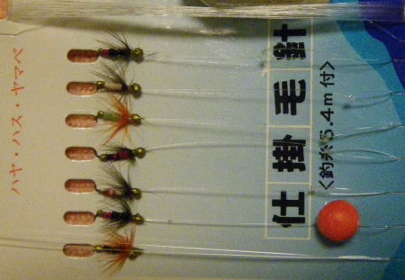 ♪♪　歩いていける裏の姉川で鮎釣りを…　♪♪