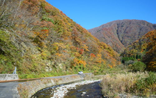 ♪♪　もう湖北の山の紅葉は終わりです。　紅葉第４弾　♪♪